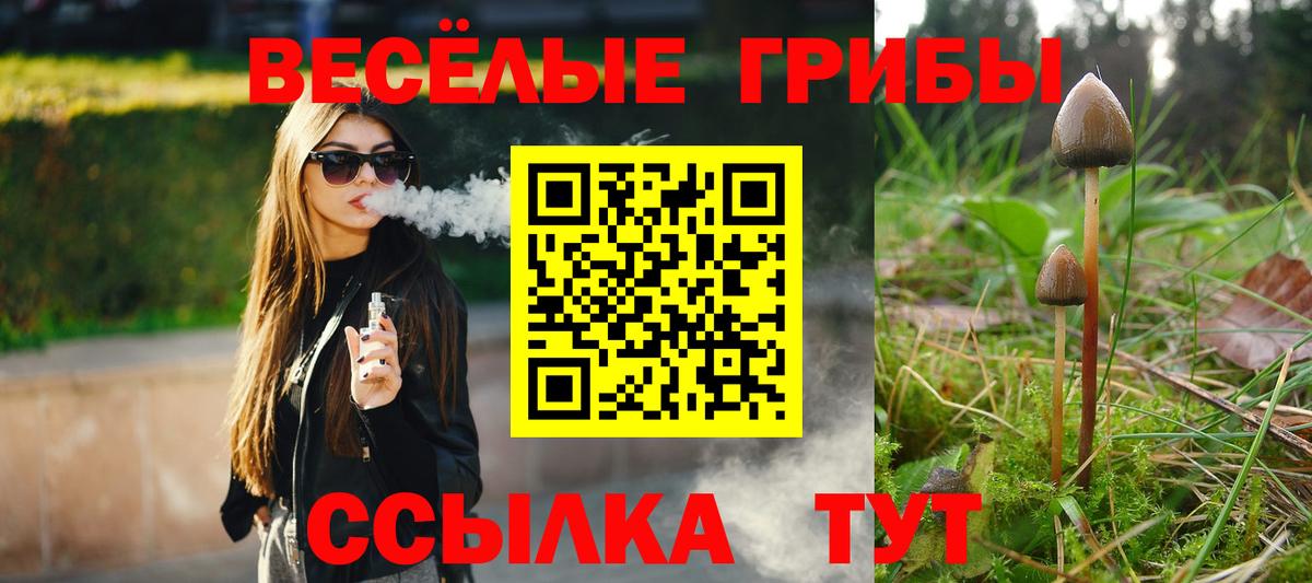 Галлюциногенные грибы GOLDEN TEACHER Сарапул