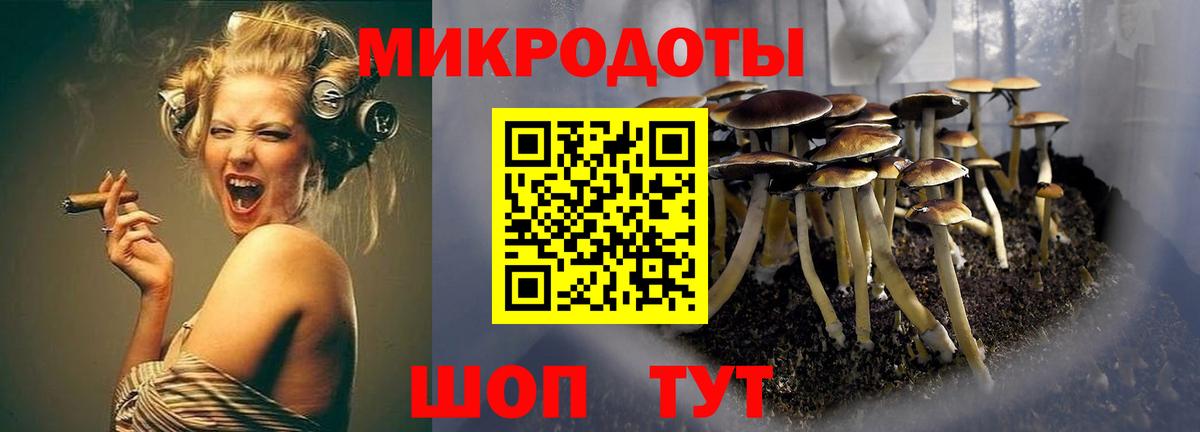 закладка  Вход с VPN  Галлюциногенные грибы Psilocybine cubensis  Сарапул  Галлюциногенные грибы мухоморы 